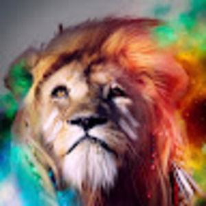 Meet your Posher, Ty